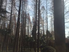 -上海怡沁园度假酒店