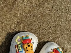 -呼兰河口湿地公园