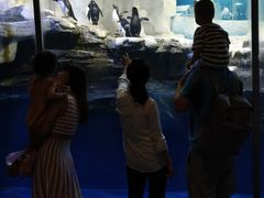 -华夏文旅海洋公园