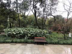 -杭州黄龙洞
