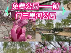 -三里河公园