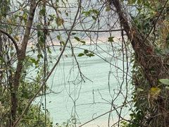 -羚羊峡古栈道森林公园