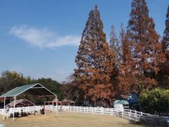 -白马涧龙池景区