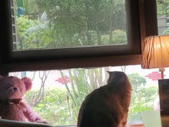 -咖法森林·咖啡  酒吧(天河店)