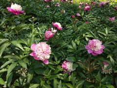 -幕燕滨江·长江观音景区