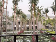 -半山半岛洲际度假酒店·观海廊