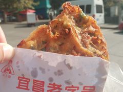 -半月镰胡姐脆皮萝卜饺子