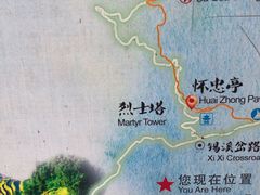 -紫鹊界梯田景区