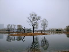 -大兴滨河森林公园