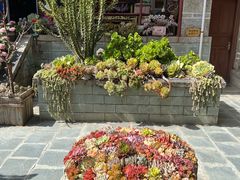 -寂照庵