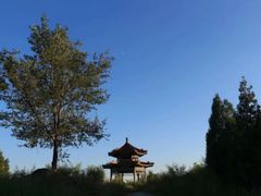 -白水寺森林公园