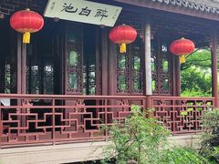 -上海醉白池公园