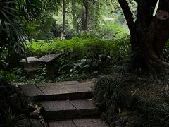 -广州兰圃
