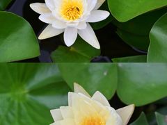 -白鹭湾湿地公园