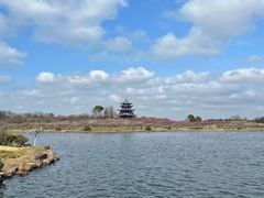 -上海海湾国家森林公园