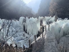 -陕西省红河谷森林公园