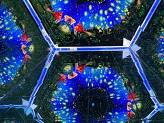 -深圳独角兽星空艺术馆