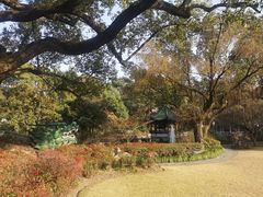 -申粤轩酒楼·三十年粤菜经典(丁香花园店)