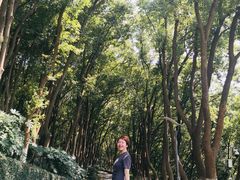 -上海市保健医疗中心