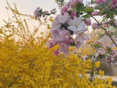 -元大都城垣遗址公园