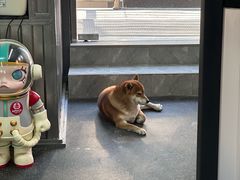 -博纳私人订制健身(中集美兰湖店)