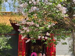 -哈尔滨极乐寺