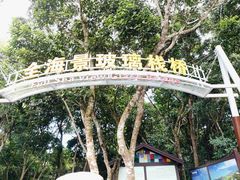 -亚龙湾热带天堂森林公园