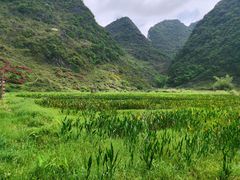 -靖西鹅泉风景区