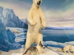 -陕西自然博物馆