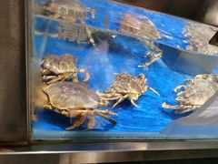 -盒马鲜生(顺义店)