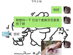 -爱诺耐芙动物医院(万博店)