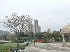 -文华公园(禅城区)