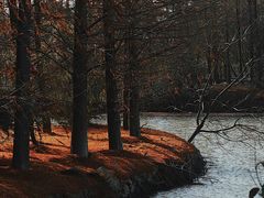 -上海海湾国家森林公园