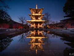 -广富林郊野公园