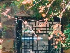 -尚贤河湿地
