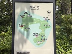 -金鸡湖桃花岛