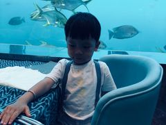 -瑞德姆美人鱼海底演艺主题餐厅(亚龙湾店)