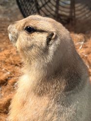-Zoolung Zoolung动物主题公园(海信广场店)
