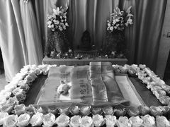 -彩虹桥宠物火化殡葬善终服务(金乐大厦店)