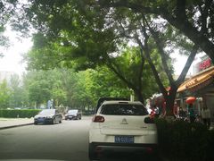 -中关村茶点