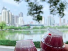-西北湖绿化广场