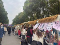 -高东镇樱花园