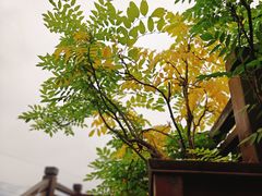 -太阳湾风景区
