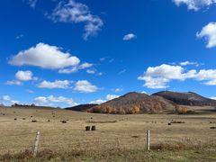 -塞罕坝国家级自然保护区