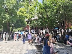 -洛阳白马寺