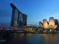 -新加坡文华东方酒店