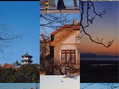 -八大关景区