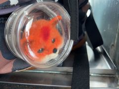 -华春餐馆(鱼山路店)