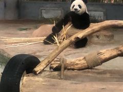 -海南热带野生动植物园