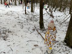 -武陵山森林公园
